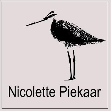 Nicolette Piekaar | beleidsadvies